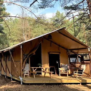  Kemp Camp Bursztynowy